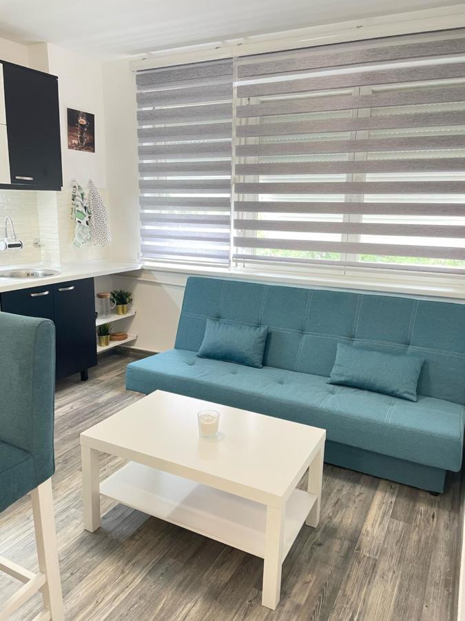 The Blue Velvet Apartment بلغراد المظهر الخارجي الصورة